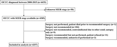 Trends in survival of ovarian clear cell carcinoma patients from 2000 to 2015